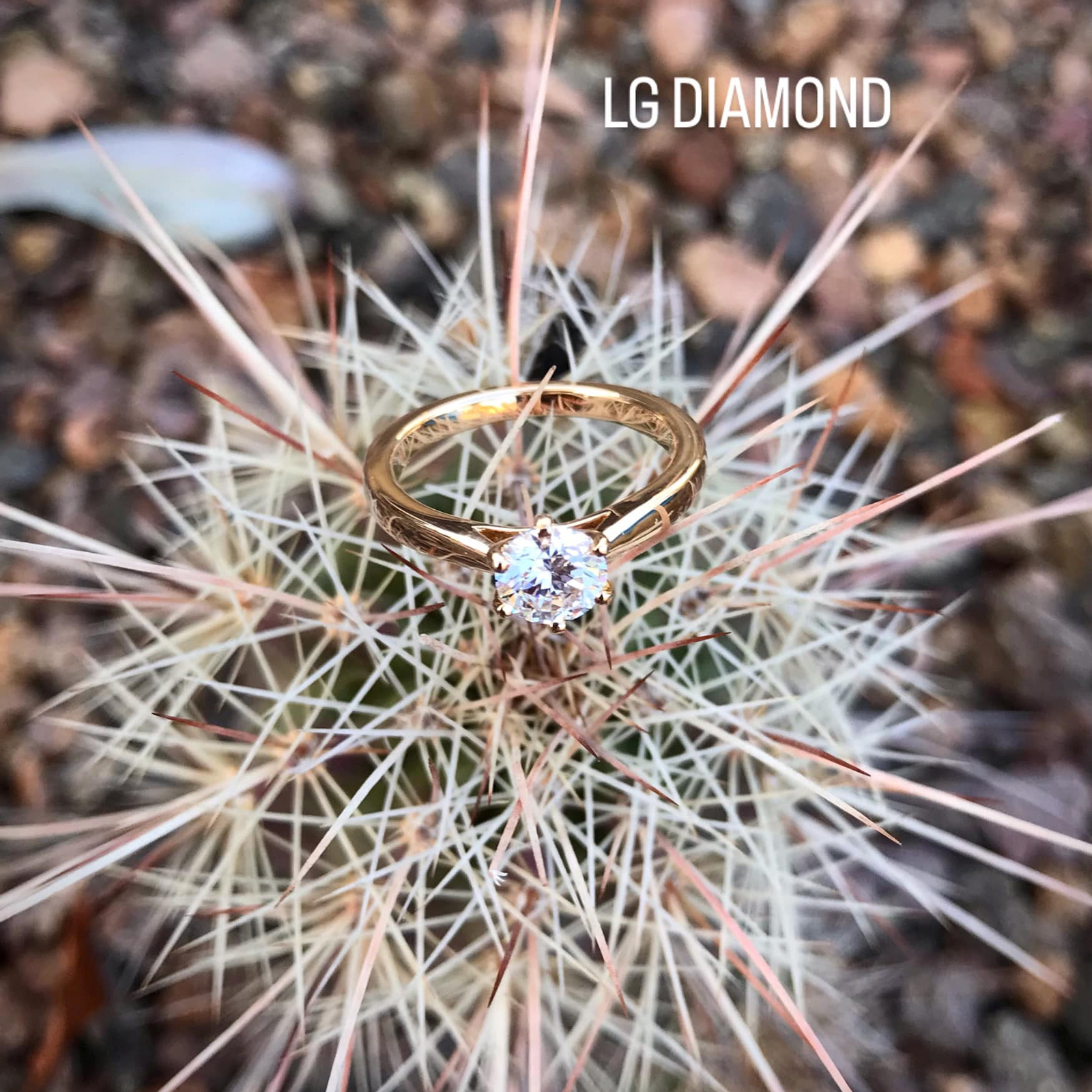 LG DIAMOND